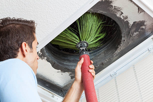 Best Local Air Duct Cleaning Services  in Erie, CO